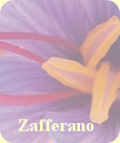 Zafferano